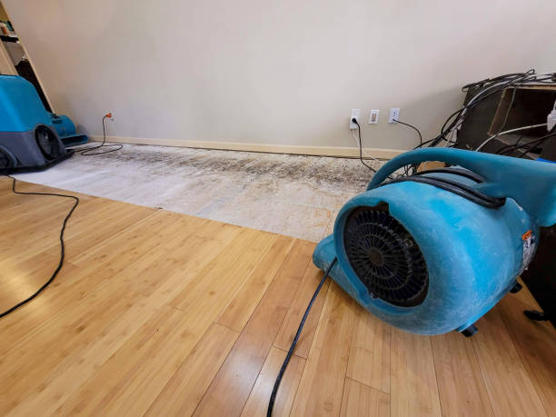 Professional Water Damage Repair technician working in Hamilton, OH
